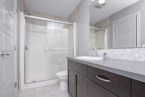 226 Redstone Drive Ne, Calgary, AB - Indoor Photo Showing Bathroom