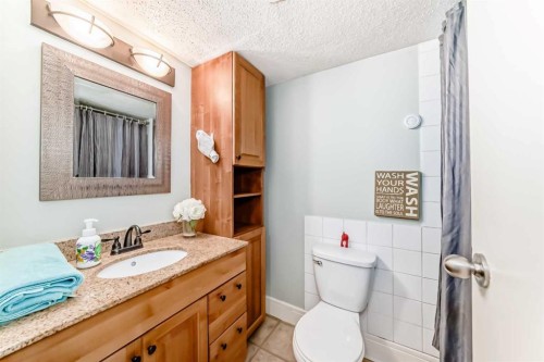 303-319 2 Avenue, Strathmore, AB - Indoor Photo Showing Bathroom