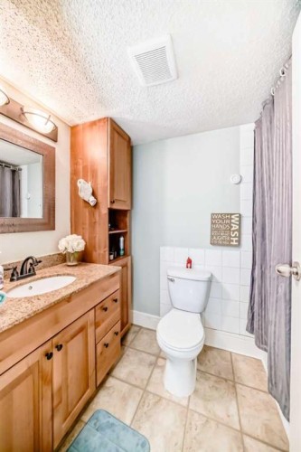 303-319 2 Avenue, Strathmore, AB - Indoor Photo Showing Bathroom