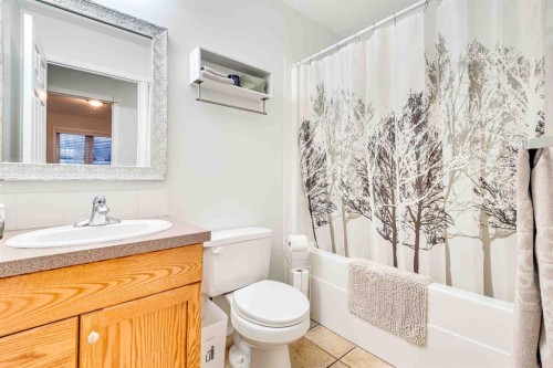 307 Regal Crescent, Trochu, AB - Indoor Photo Showing Bathroom