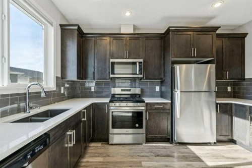 95 Cornerstone Avenue Ne, Calgary, AB - Indoor Photo Showing Kitchen With Double Sink With Upgraded Kitchen