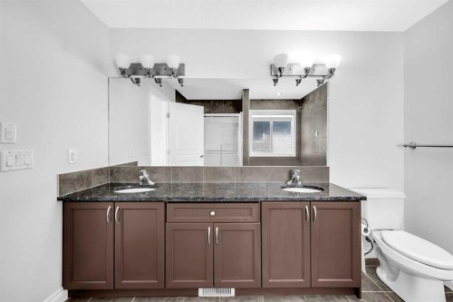 422 Taralake Way Ne, Calgary, AB - Indoor Photo Showing Bathroom