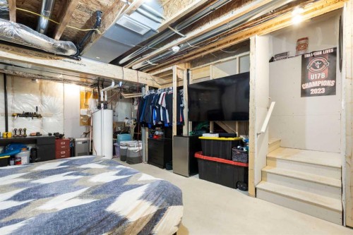 277 Ellen Way, Crossfield, AB - Indoor Photo Showing Basement