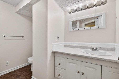 740 Lysander Drive Se, Calgary, AB - Indoor Photo Showing Bathroom