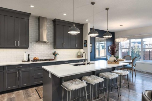 23 Cranbrook Green Se, Calgary, AB - Indoor Photo Showing Kitchen With Double Sink With Upgraded Kitchen