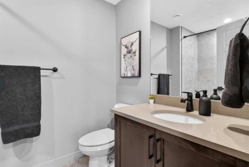184 Precedence Hill, Cochrane, AB - Indoor Photo Showing Bathroom