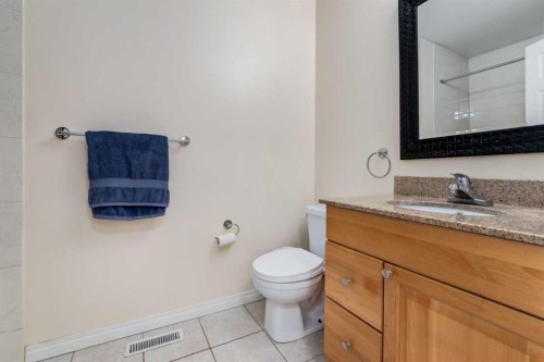 150 Martinbrook Road Ne, Calgary, AB - Indoor Photo Showing Bathroom