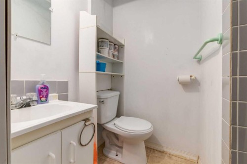 150 Martinbrook Road Ne, Calgary, AB - Indoor Photo Showing Bathroom