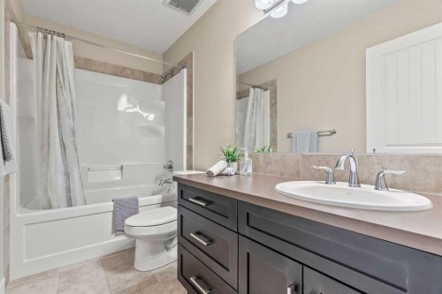2306 Bayside Circle Sw, Airdrie, AB - Indoor Photo Showing Bathroom