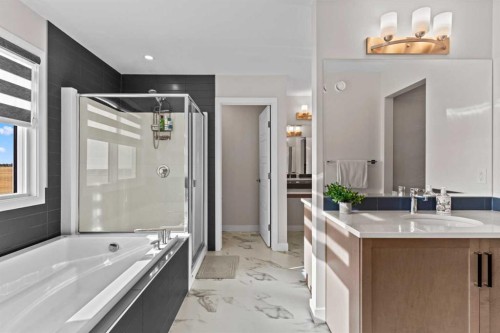 461 Corner Meadows Way Ne, Calgary, AB - Indoor Photo Showing Bathroom