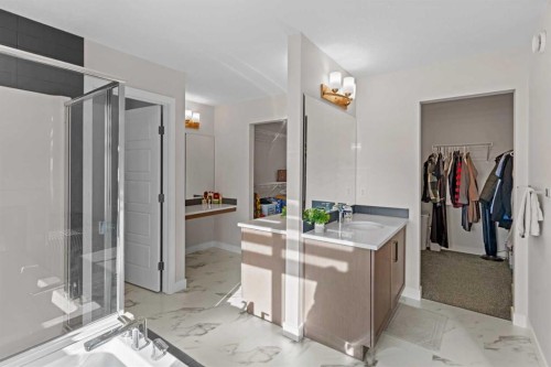 461 Corner Meadows Way Ne, Calgary, AB - Indoor Photo Showing Bathroom