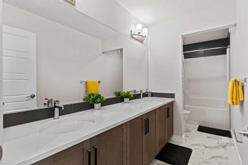 461 Corner Meadows Way Ne, Calgary, AB - Indoor Photo Showing Bathroom