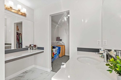 461 Corner Meadows Way Ne, Calgary, AB - Indoor Photo Showing Bathroom