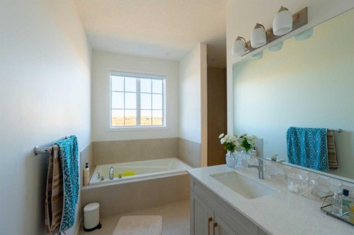 228 Windrow Link Sw, Airdrie, AB - Indoor Photo Showing Bathroom