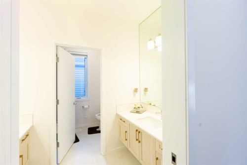228 Windrow Link Sw, Airdrie, AB - Indoor Photo Showing Bathroom