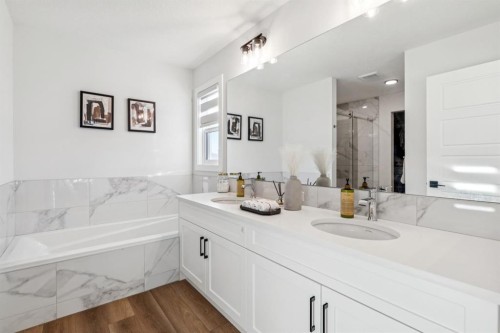 170 Creekstone Path Sw, Calgary, AB - Indoor Photo Showing Bathroom