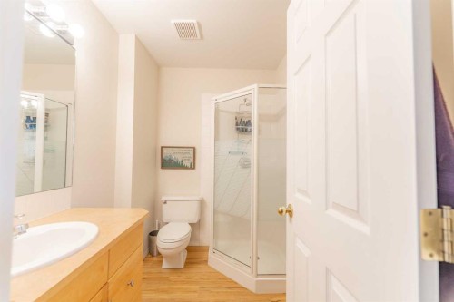 2-601 4Th Street, Canmore, AB - Indoor Photo Showing Bathroom