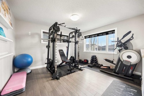 40 Evansfield Place Nw, Calgary, AB - Indoor Photo Showing Gym Room