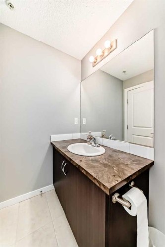 107-100 Cranfield Common Se, Calgary, AB - Indoor Photo Showing Bathroom