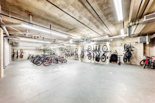 107-100 Cranfield Common Se, Calgary, AB - Indoor Photo Showing Garage