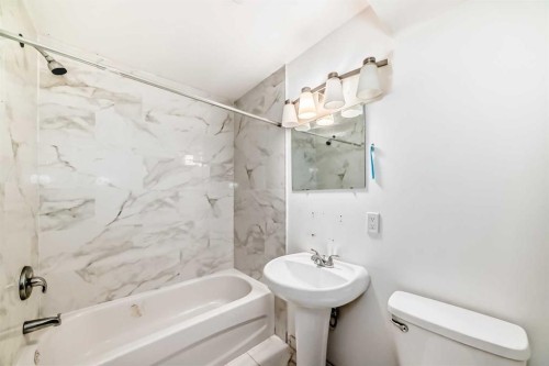 46 Martindale Mews Ne, Calgary, AB - Indoor Photo Showing Bathroom