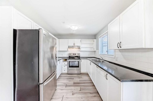 46 Martindale Mews Ne, Calgary, AB - Indoor Photo Showing Kitchen With Double Sink