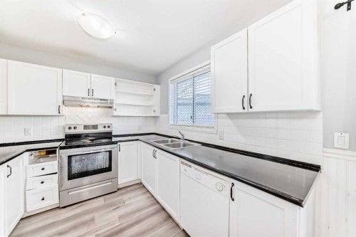 46 Martindale Mews Ne, Calgary, AB - Indoor Photo Showing Kitchen With Double Sink