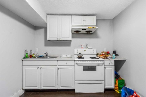 183 Penbrooke Close Se, Calgary, AB - Indoor Photo Showing Kitchen With Double Sink