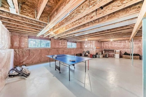 187 Hawkmere View, Chestermere, AB - Indoor Photo Showing Basement