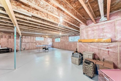 187 Hawkmere View, Chestermere, AB - Indoor Photo Showing Basement