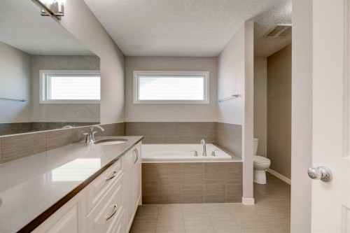 2016 Brightoncrest Green Se, Calgary, AB - Indoor Photo Showing Bathroom