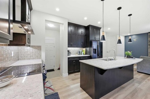 228 Carringham Road, Calgary, AB - Indoor Photo Showing Kitchen With Upgraded Kitchen