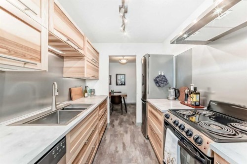 308-819 4A Street Ne, Calgary, AB - Indoor Photo Showing Kitchen With Double Sink