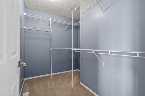 83 Tarington Way Ne, Calgary, AB - Indoor With Storage