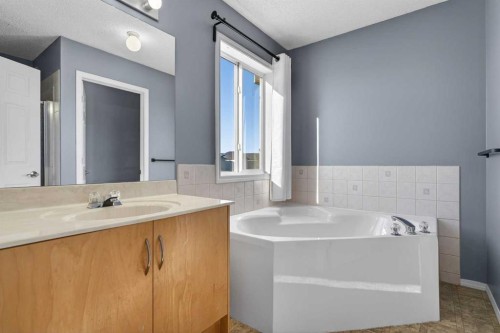 83 Tarington Way Ne, Calgary, AB - Indoor Photo Showing Bathroom