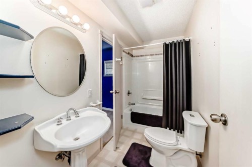 329 Martinwood Place Ne, Calgary, AB - Indoor Photo Showing Bathroom