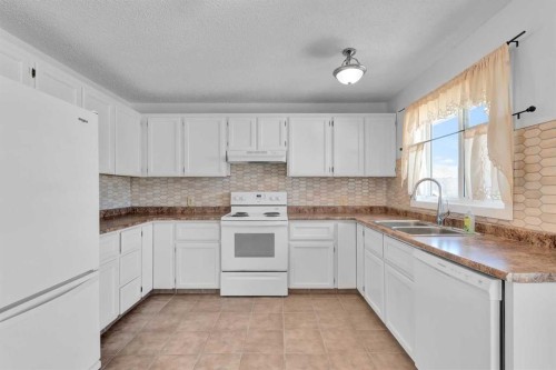 4056 44 Avenue Ne, Calgary, AB - Indoor Photo Showing Kitchen With Double Sink