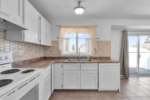 4056 44 Avenue Ne, Calgary, AB - Indoor Photo Showing Kitchen With Double Sink