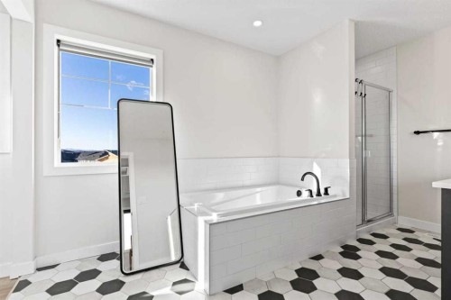 68 Walcrest View Se, Calgary, AB - Indoor Photo Showing Bathroom