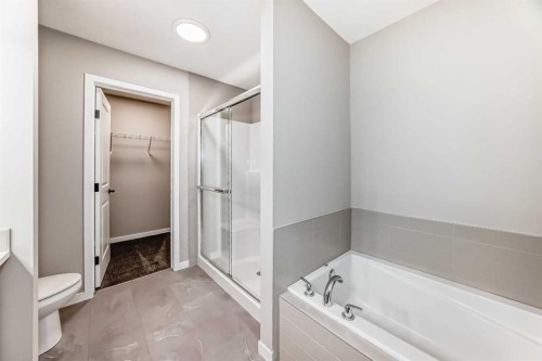 1089 Sawgrass Link Nw, Airdrie, AB - Indoor Photo Showing Bathroom