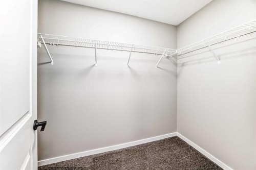 1089 Sawgrass Link Nw, Airdrie, AB - Indoor With Storage
