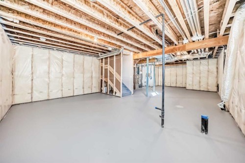 1089 Sawgrass Link Nw, Airdrie, AB - Indoor Photo Showing Basement