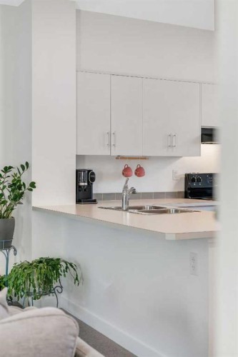 507 Silverado Skies Common Sw, Calgary, AB - Indoor Photo Showing Kitchen