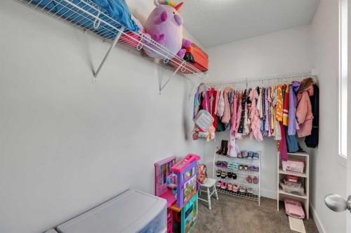 507 Silverado Skies Common Sw, Calgary, AB - Indoor With Storage