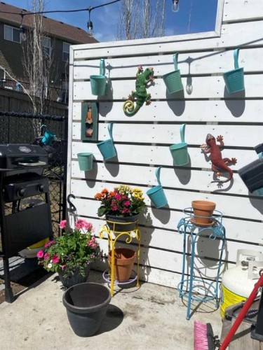 507 Silverado Skies Common Sw, Calgary, AB - Outdoor