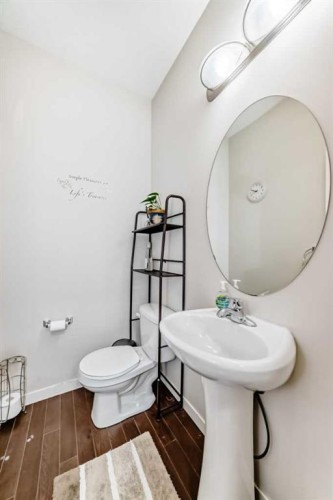 48 Copperpond Landing Se, Calgary, AB - Indoor Photo Showing Bathroom