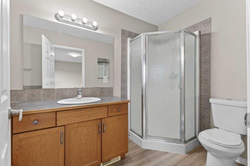87 Saddlebrook Gardens Ne, Calgary, AB - Indoor Photo Showing Bathroom