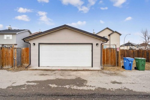 87 Saddlebrook Gardens Ne, Calgary, AB - Outdoor