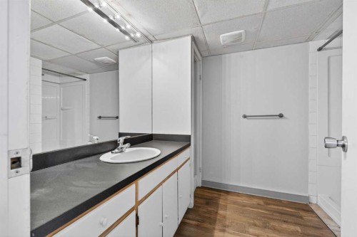 44 Spring Haven Close Se, Airdrie, AB - Indoor Photo Showing Bathroom