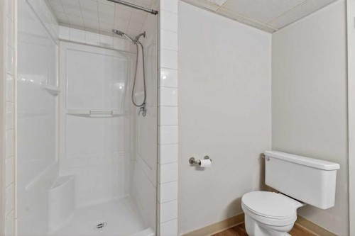 44 Spring Haven Close Se, Airdrie, AB - Indoor Photo Showing Bathroom